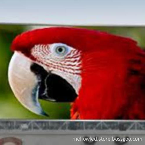 p18 outdoor full color led video